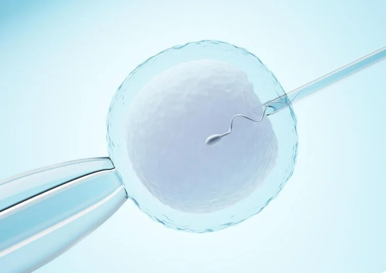 Інноваційний підхід у відновленні фертильності: застосування штучного інтелекту для вилучення сперматозоїдів за азооспермії