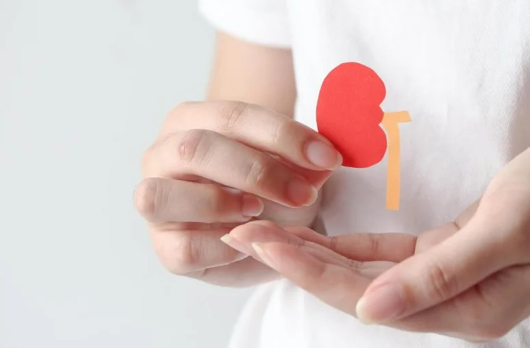 Гіпотермічна машинна перфузія покращує довготривалі результати трансплантації нирок: дані 10-річного спостереження