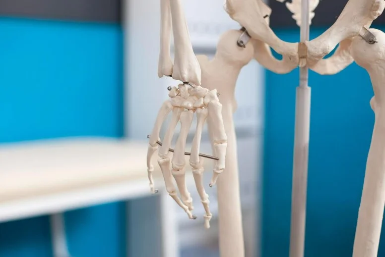 Лужна фосфатаза як потенційний ранній маркер остеопорозу: останні дані та клінічні орієнтири