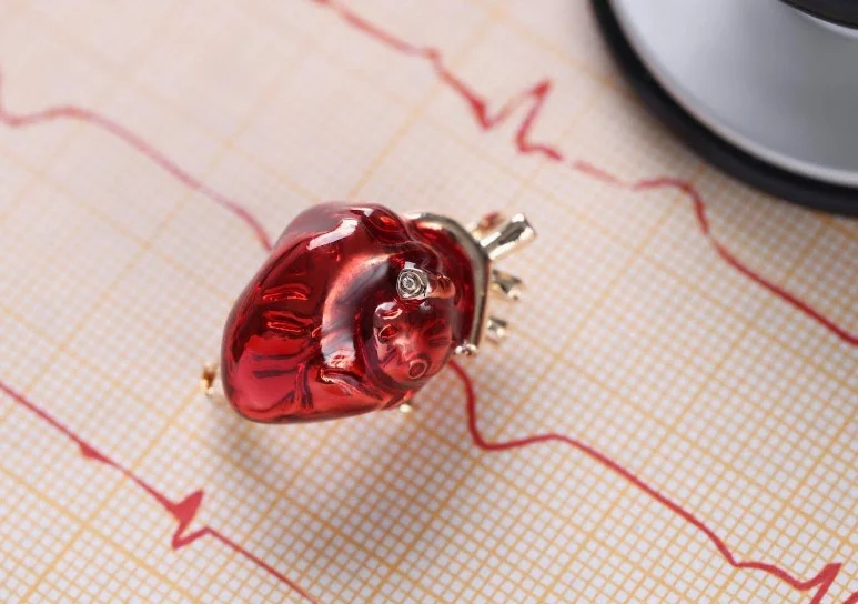 Лікарі презентують перший інструмент довгострокового прогнозування серцево-судинного ризику для дорослих від 30 років