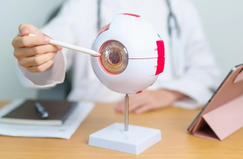 Здійснено першу успішну трансплантацію рогівки, створеної за допомогою 3D-біодруку