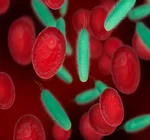 Прогрес у дослідженні взаємозв’язку між інфекцією Helicobacter pylori та залізодефіцитною анемією