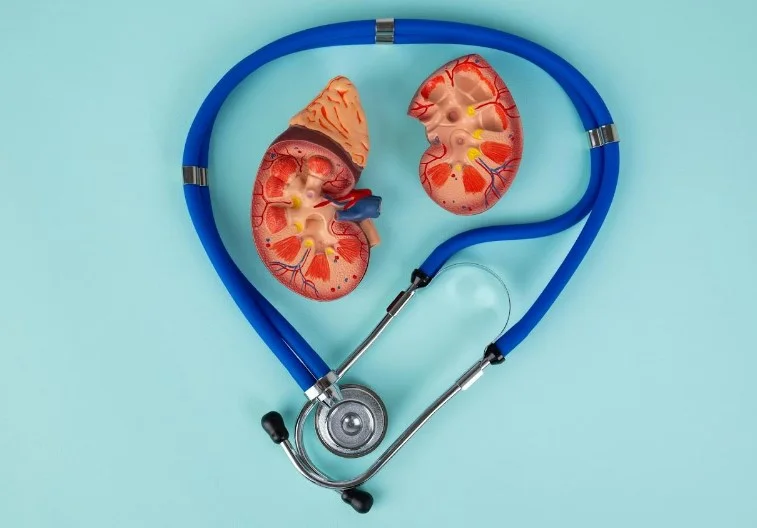 Фінеренон проти спіронолактону в пацієнтів із хронічною хворобою нирок та діабетом 2 типу: який препарат чинить кращий кардіоренальний захист?