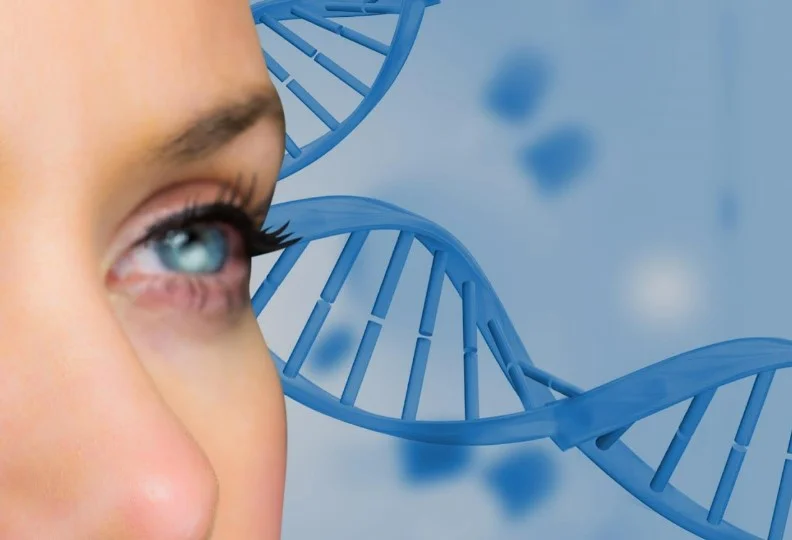 ER-100 – генна терапія, що може омолодити гангліозні клітини сітківки