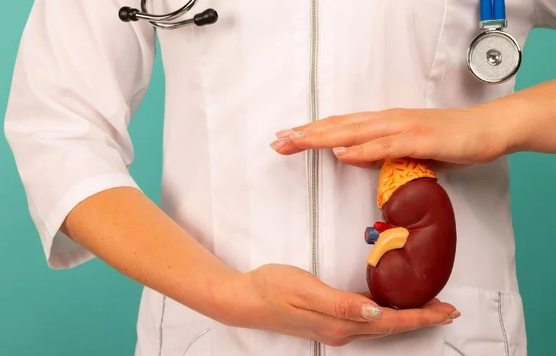 Коли «нормальна» швидкість клубочкової фільтрації не є безпечною: новий калькулятор для ранньої діагностики ХХН