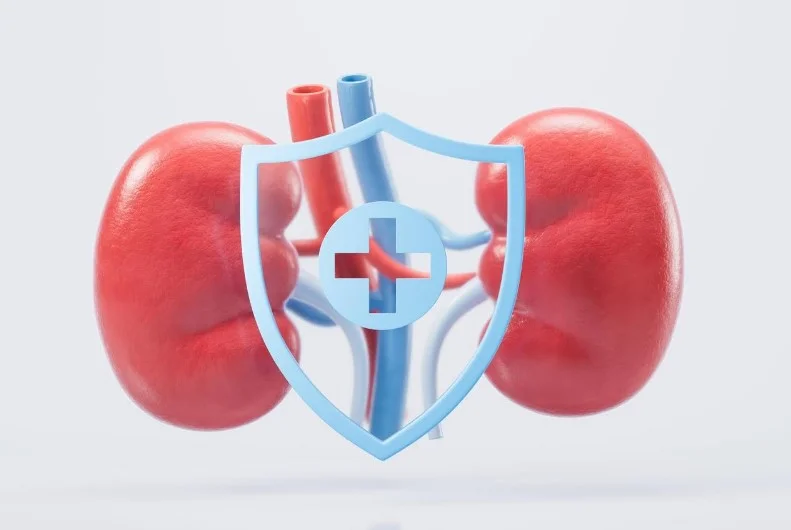 Kidney Week 2026 – новітні клінічні випробування в галузі лікування нирок