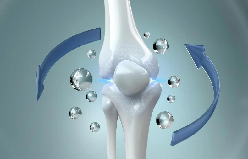 Кератин, отриманий із вовни, - неочікуваний біоматеріал для регенерації кісткової тканини