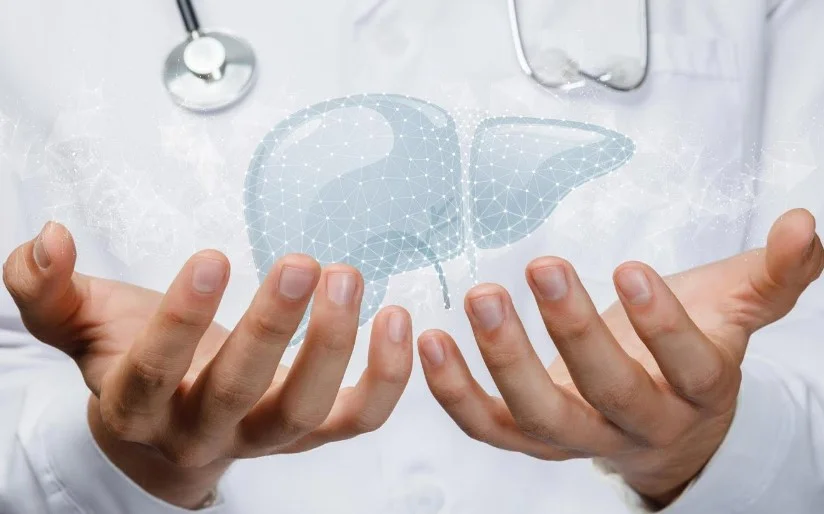 Науковці презентують ін’єкційні «мініпечінки», що можуть стати альтернативою трансплантації за печінкової недостатності