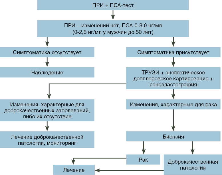 Дгпж в урологии. Схема патогенеза аденомы предстательной железы. Доброкачественная гиперплазия предстательной железы патогенез. Острый простатит патогенез. Доброкачественная гиперплазия предстательной железы этиология.