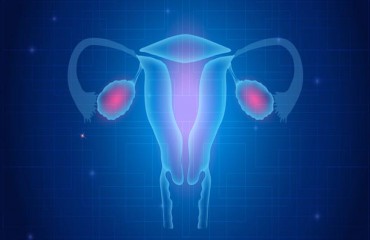 Влияние терапии каберголином и метформином на регулярность менструального цикла и андрогенную систему у женщин с синдромом поликистозных яичников и гиперпролактинемией